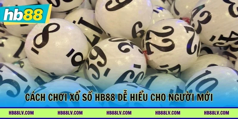Cách chơi xổ số HB88 dễ tiếp cận cho người mới bắt đầu