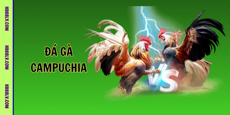 Đá gà Campuchia