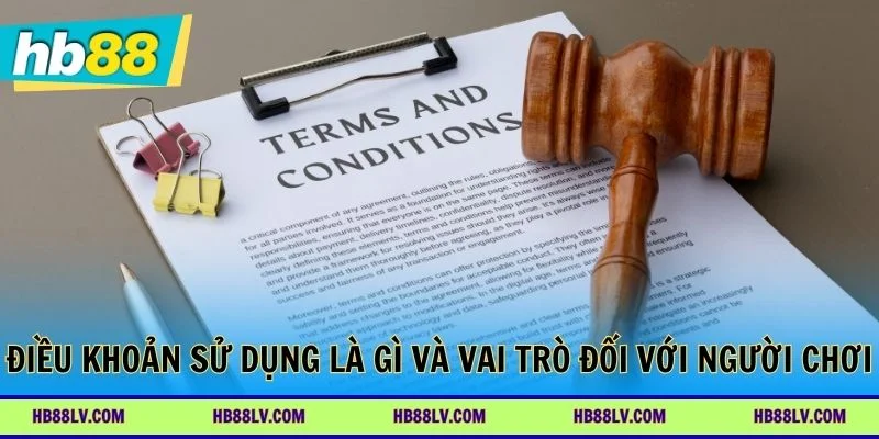 Điều khoản sử dụng là gì và vai trò đối với người chơi