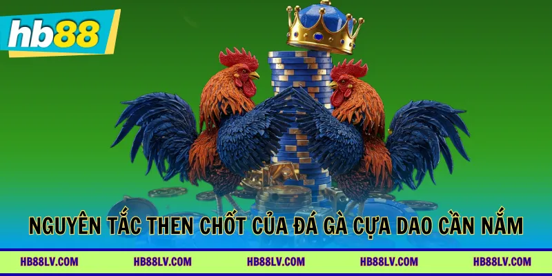 Nguyên tắc then chốt của đá gà cựa dao cần nắm