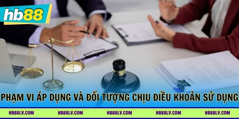 Phạm vi áp dụng và đối tượng chịu điều khoản sử dụng