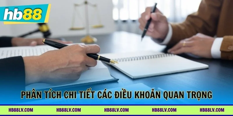 Phân tích chi tiết các điều khoản quan trọng