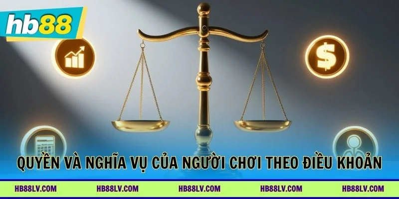 Quyền và nghĩa vụ của người chơi theo điều khoản