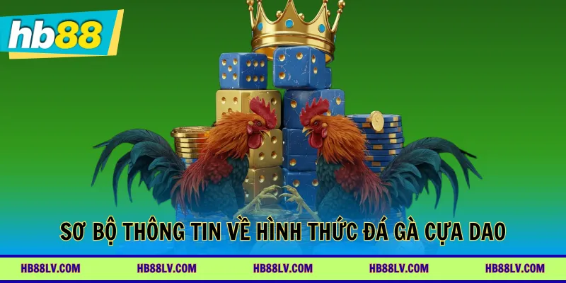 Sơ bộ thông tin về hình thức đá gà cựa dao