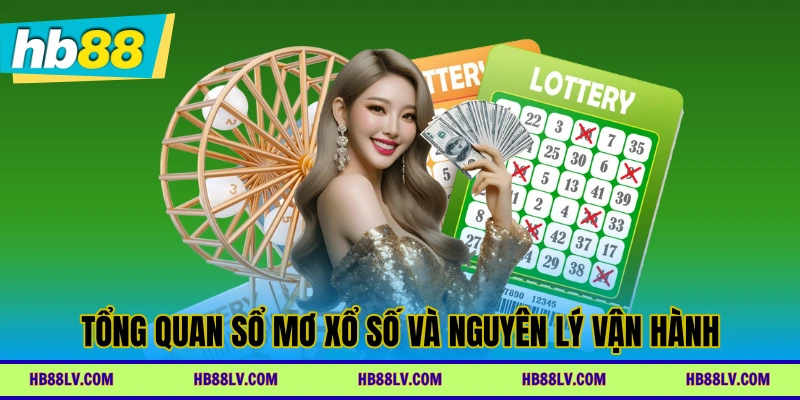 Tổng quan sổ mơ xổ số và nguyên lý vận hành