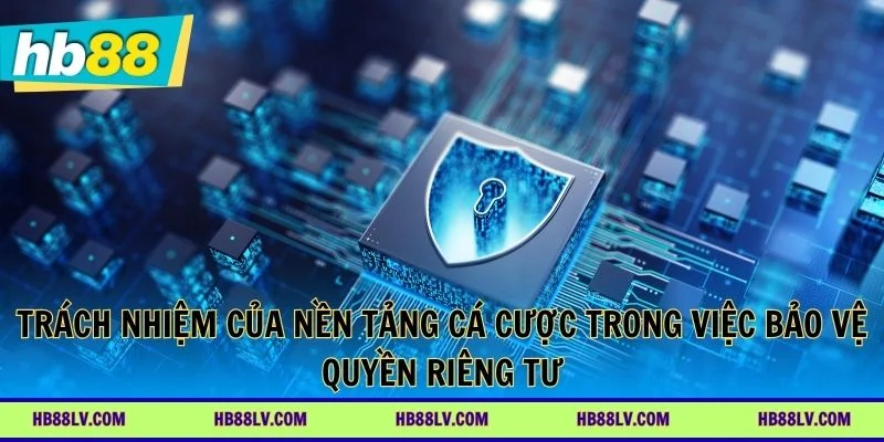 Trách nhiệm của nền tảng trong việc bảo vệ quyền riêng tư