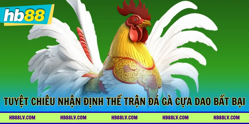 Tuyệt chiêu nhận định thế trận đá gà cựa dao bất bại